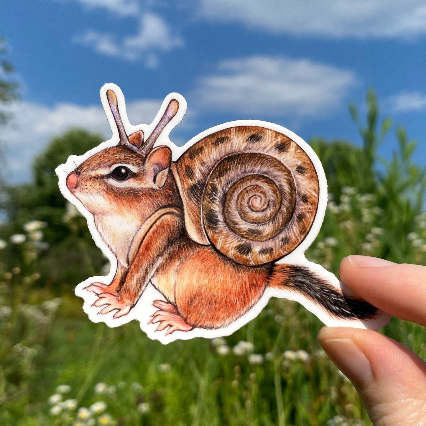 Snail Chipmunk Weatherproof Vinyl Sticker
