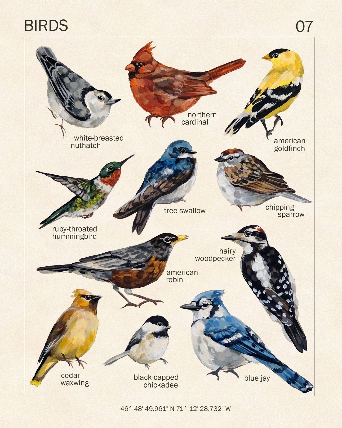 Bird Art Print | 8x10'' | Vintage Botanical Wall Art