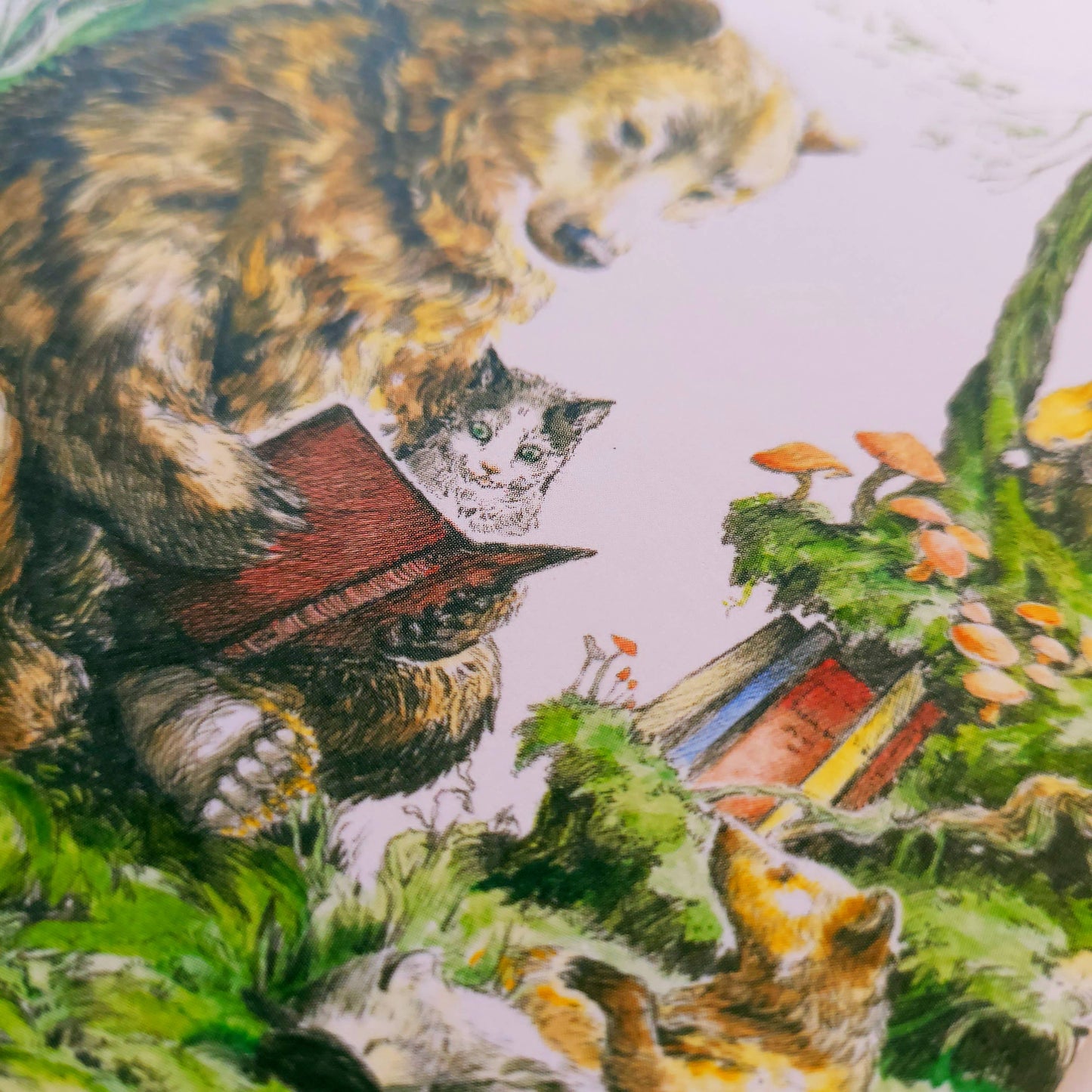 Tarjeta del oso del bosque