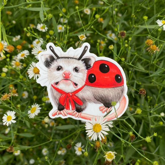 Ladybug Opossum Halloween Costume Weatherproof Vinyl Sticker