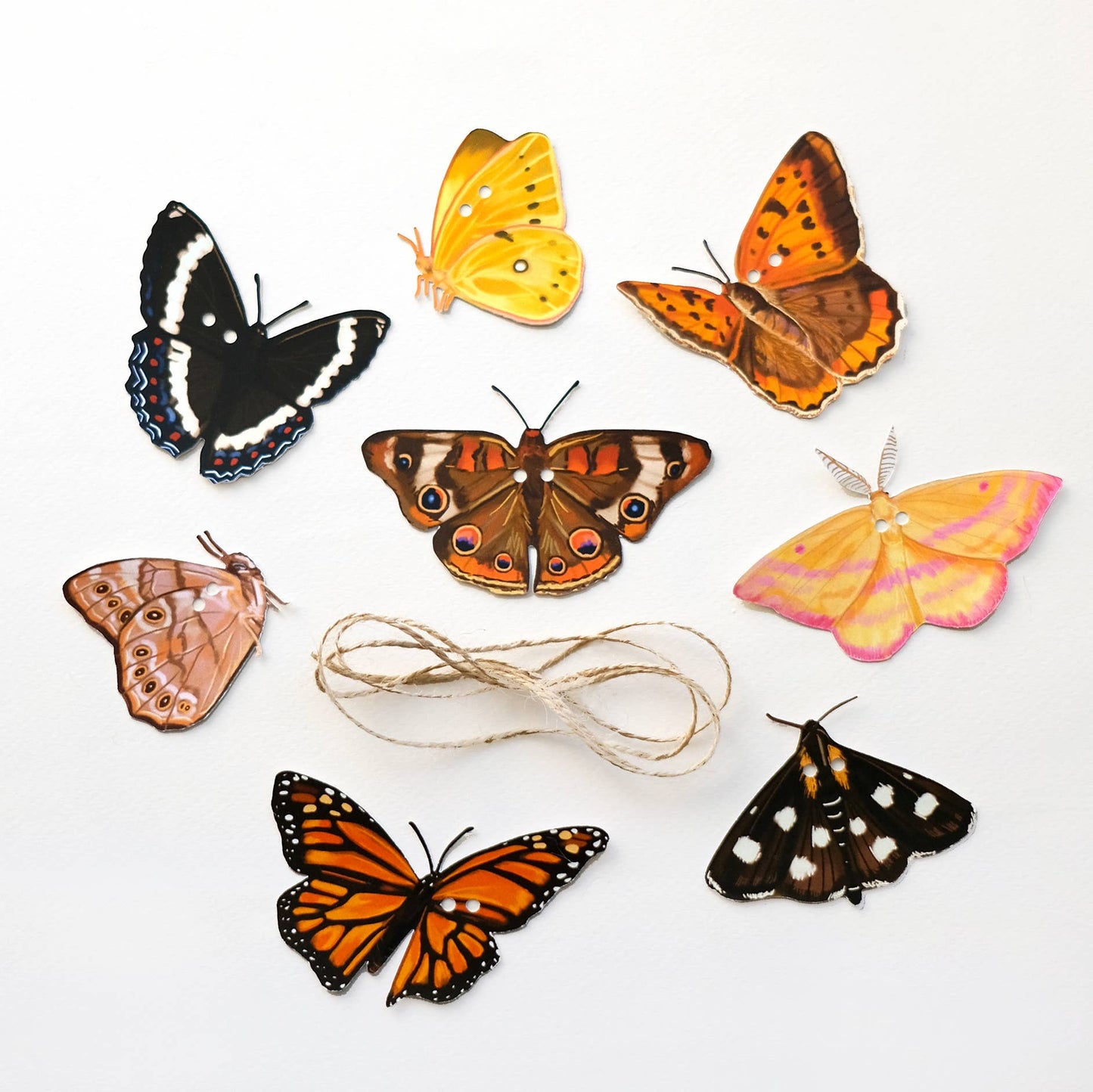 Butterfly Garland | DIY Paper Garland | Botanical Craft Kit