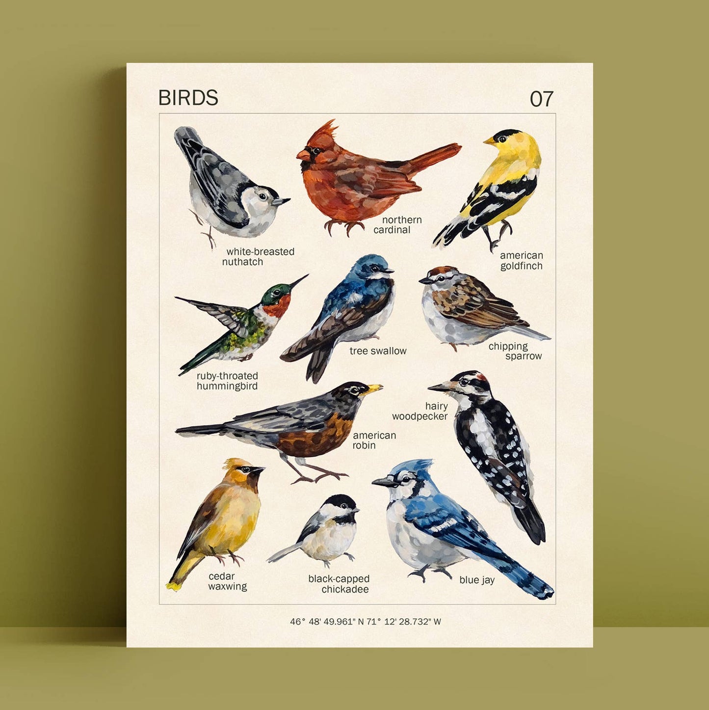 Bird Art Print | 8x10'' | Vintage Botanical Wall Art