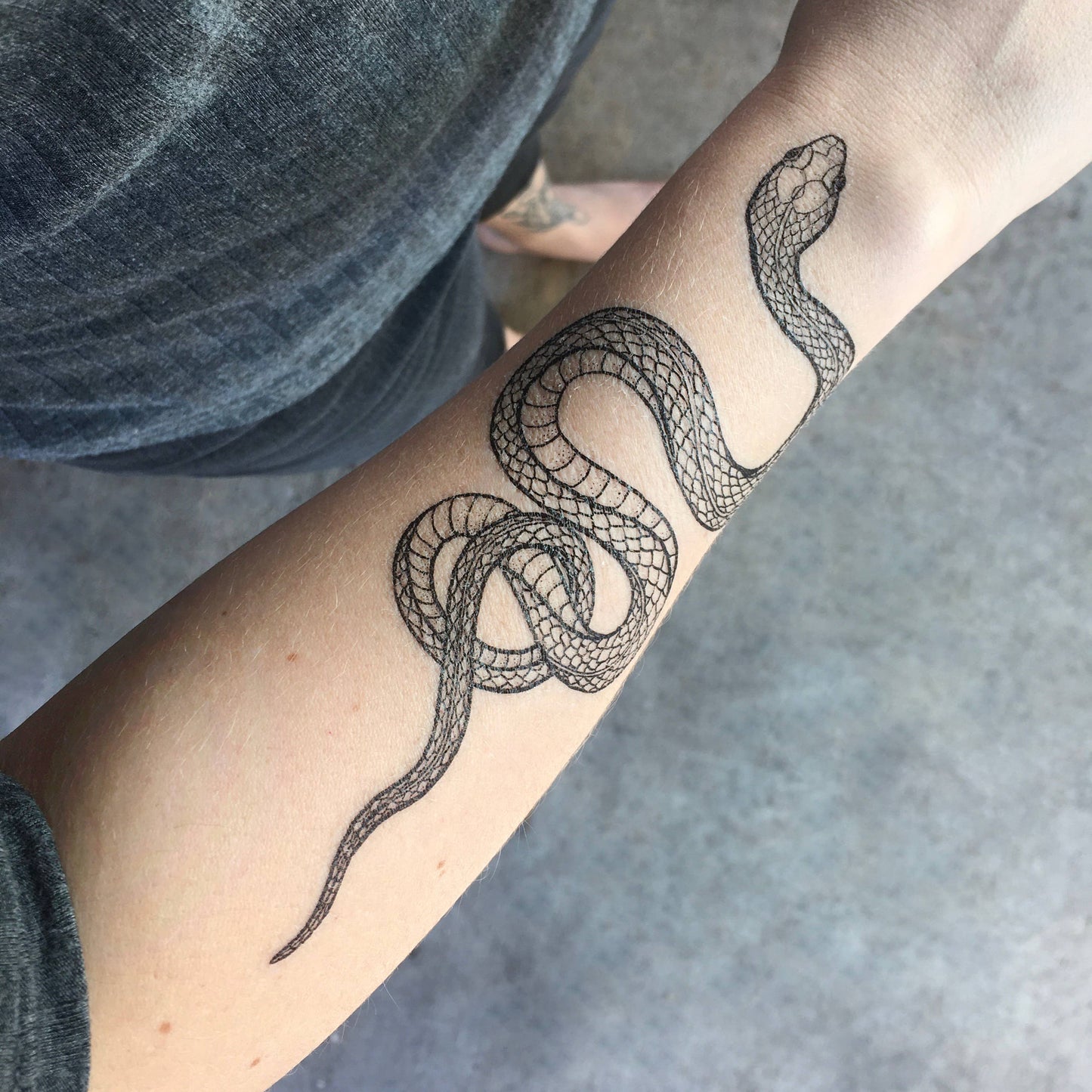 Tatuaje temporal de serpiente de jardín