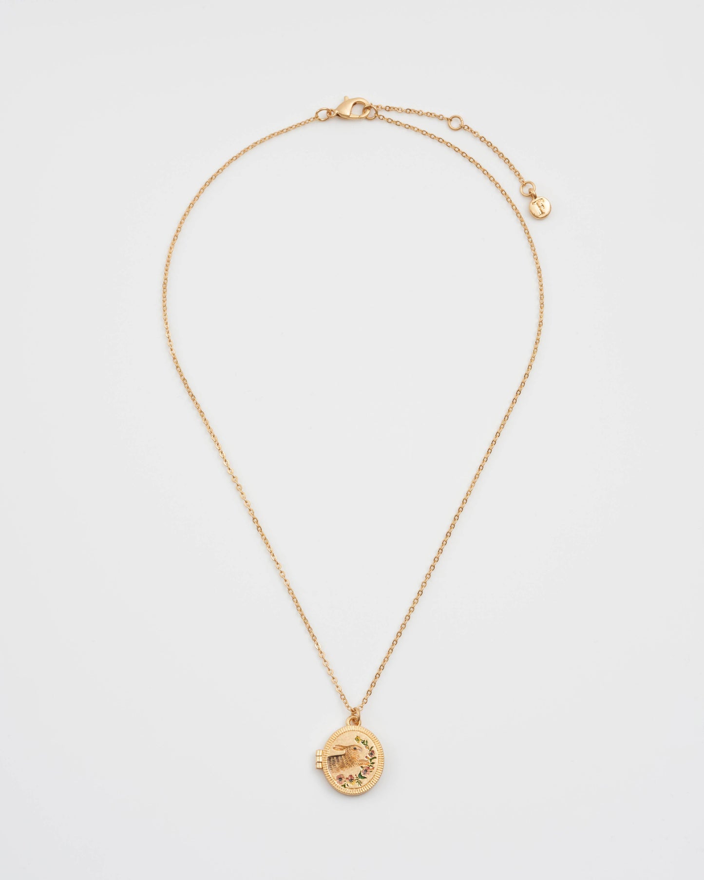 Medallón de conejito corredor