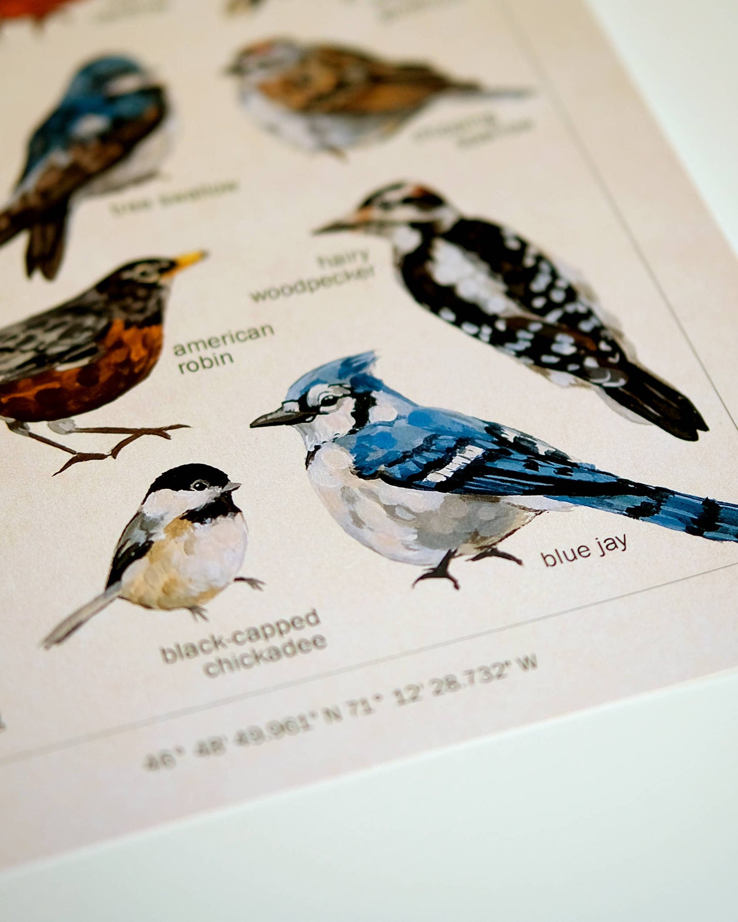 Bird Art Print | 8x10'' | Vintage Botanical Wall Art
