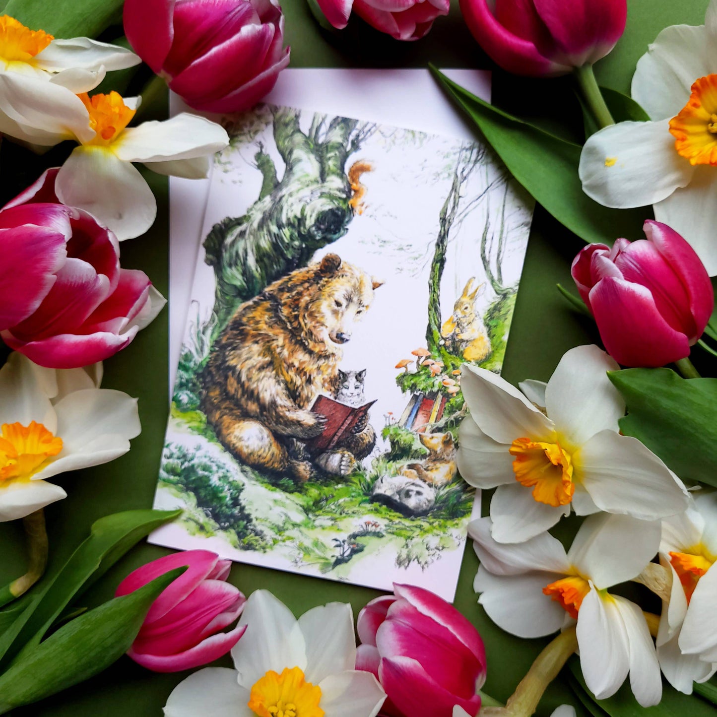 Tarjeta del oso del bosque