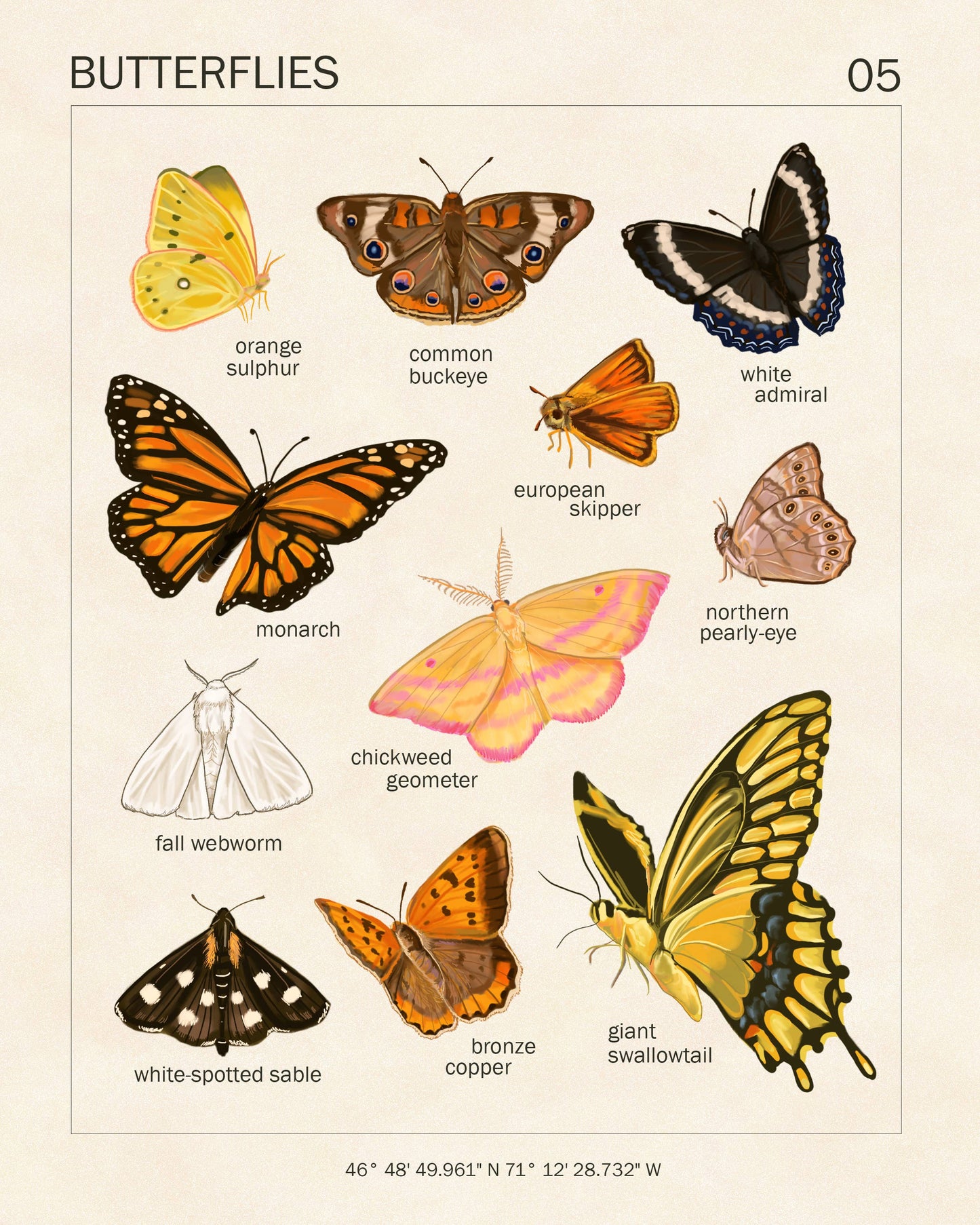 Butterfly Art Print | 8x10'' | Vintage Botanical Wall Art