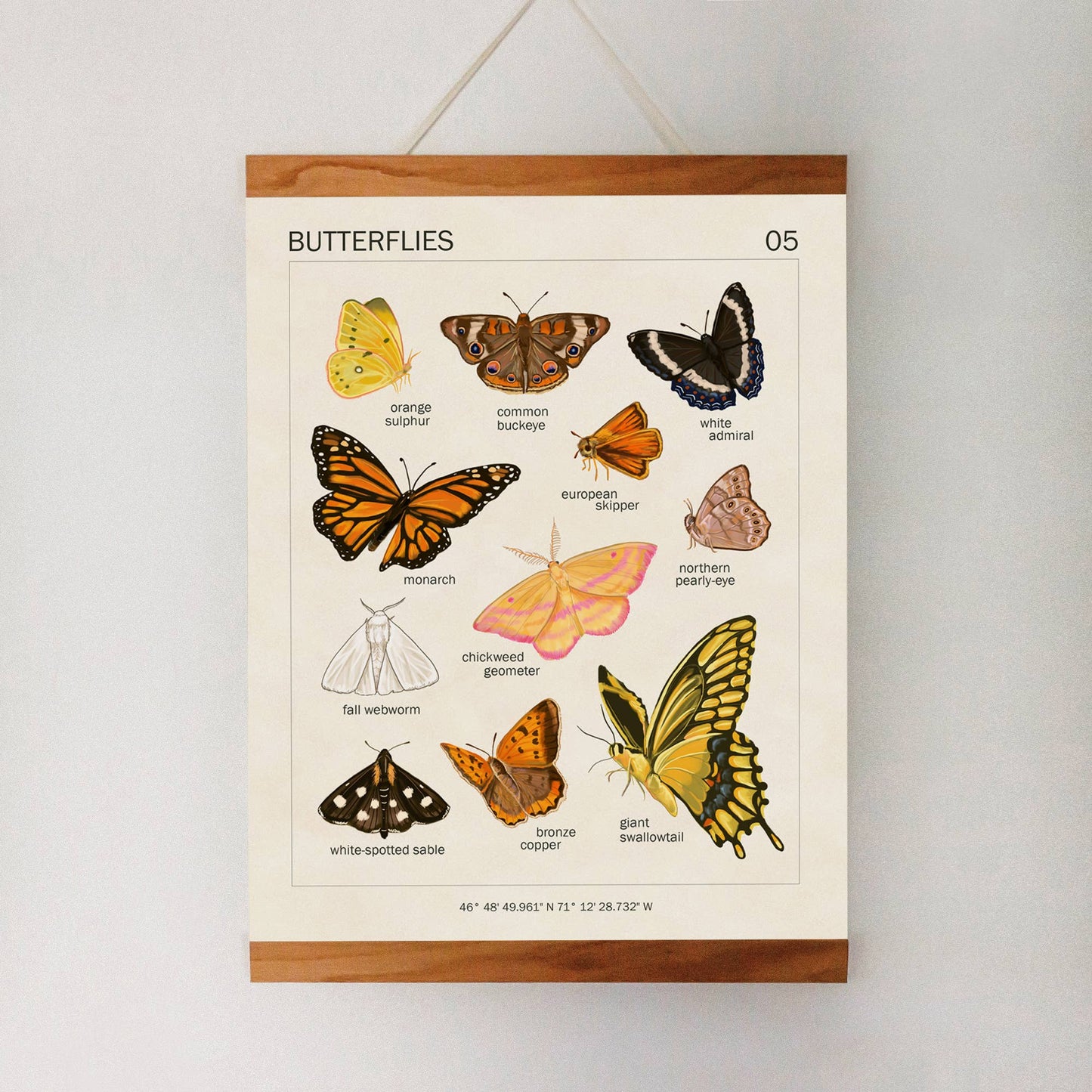Butterfly Art Print | 8x10'' | Vintage Botanical Wall Art