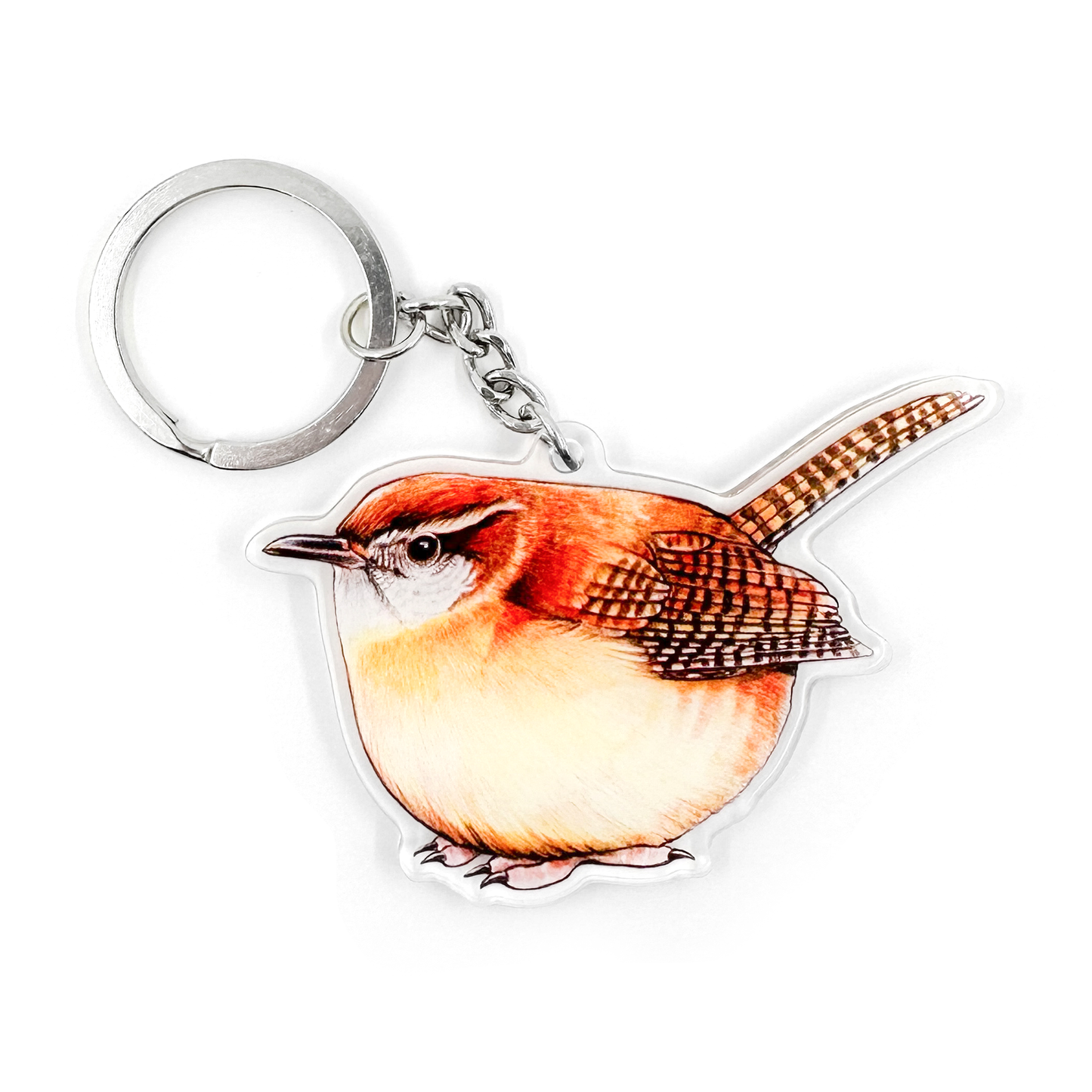 Llavero acrílico de doble cara con diseño de pájaro Carolina Wren