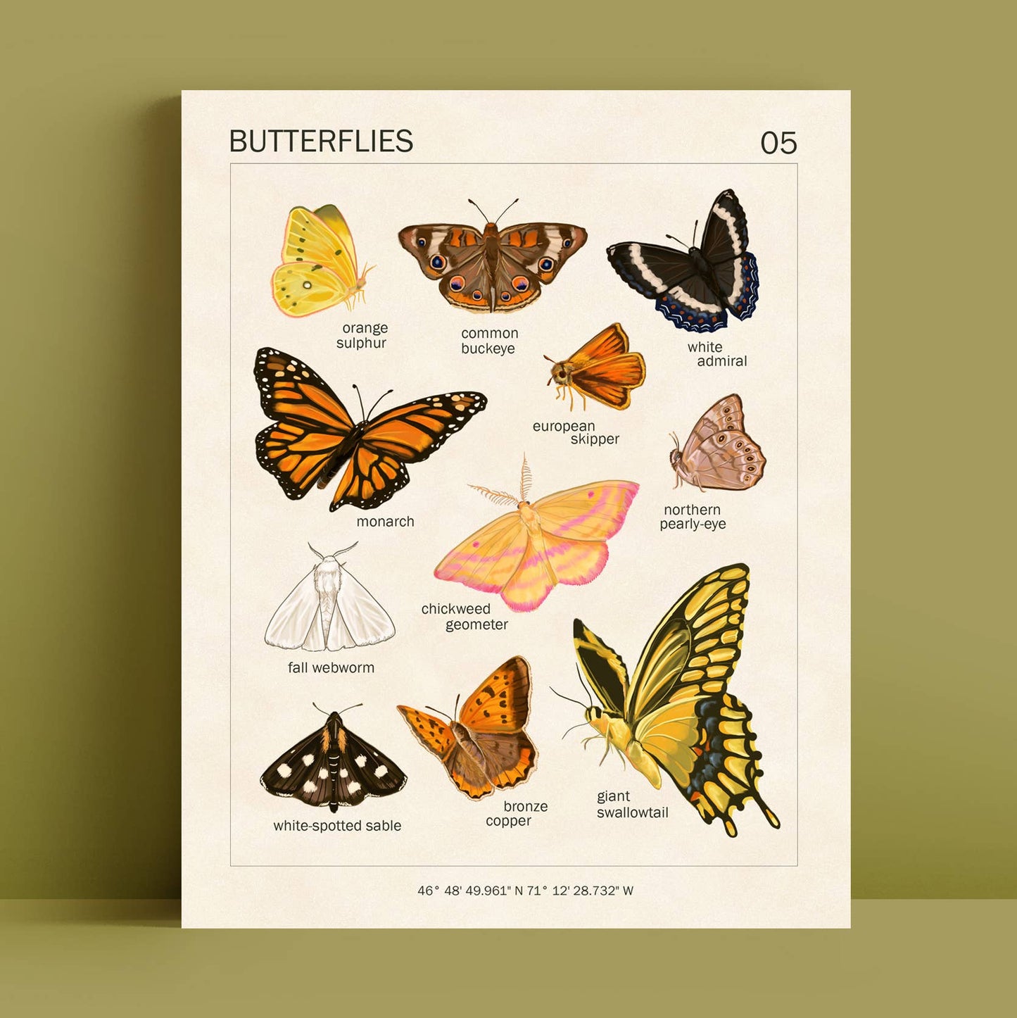 Butterfly Art Print | 8x10'' | Vintage Botanical Wall Art