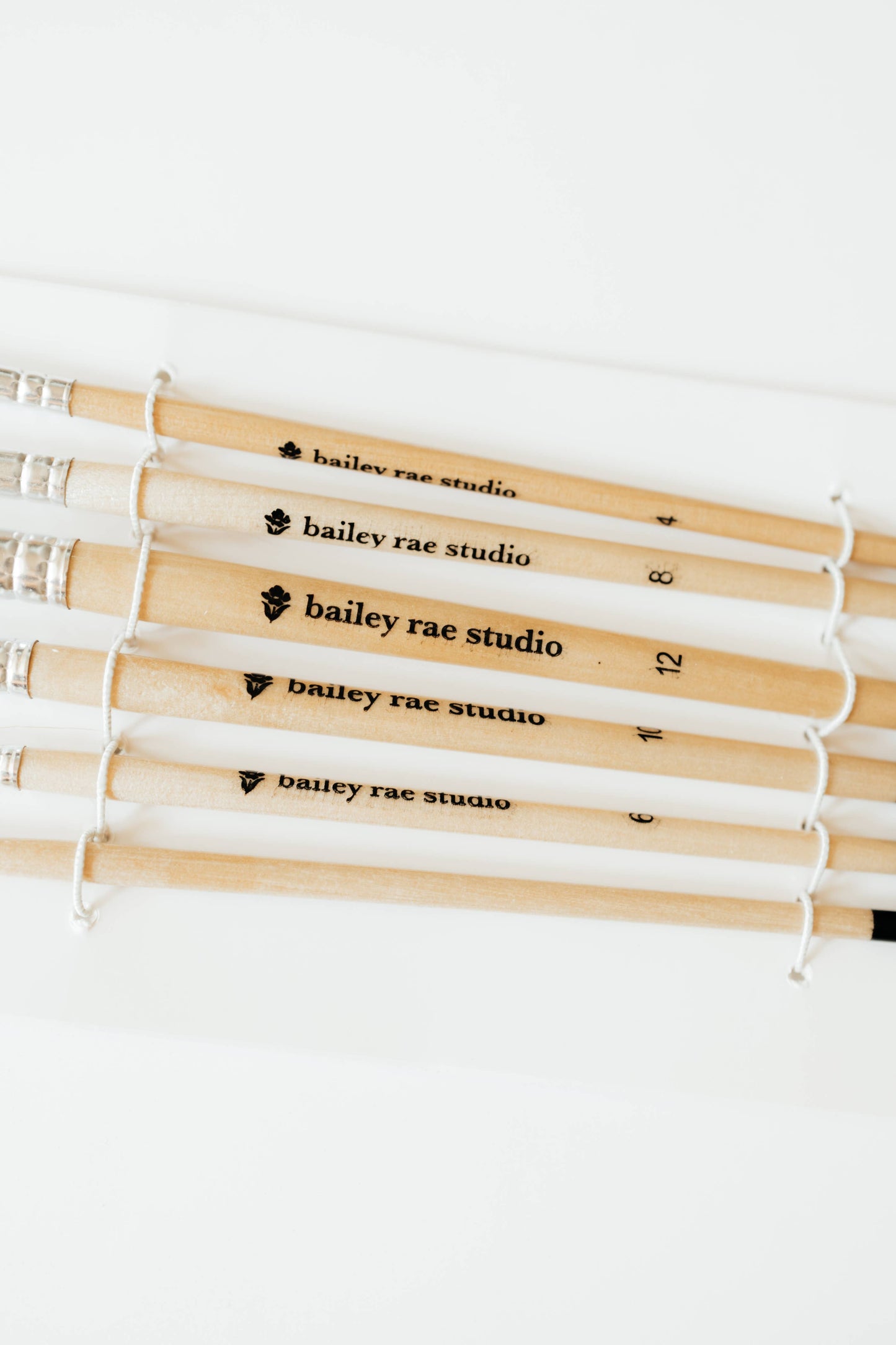 Round Tip Watercolor Brush Set (6 Brushes in Set)