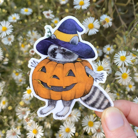 Pegatina de vinilo resistente a la intemperie de mapache calabaza para Halloween