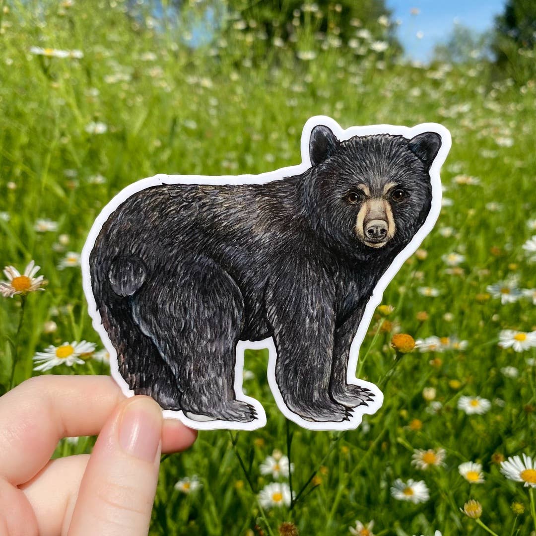 Pegatina de vinilo resistente a la intemperie de oso negro americano