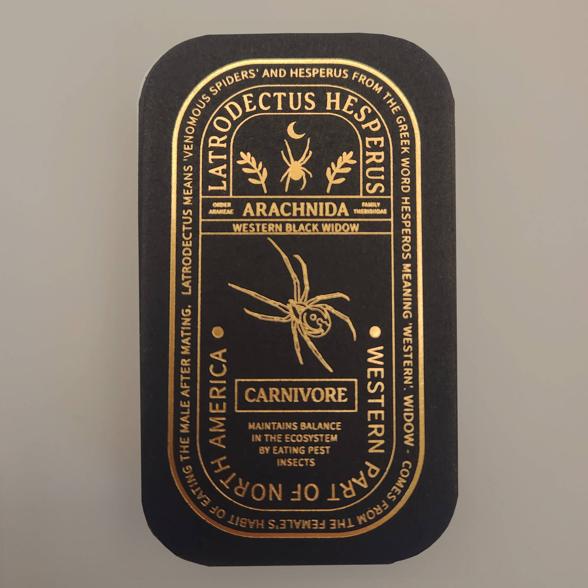Western Black Widow Educational Arachnid Enamel Pin