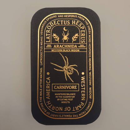 Western Black Widow Educational Arachnid Enamel Pin