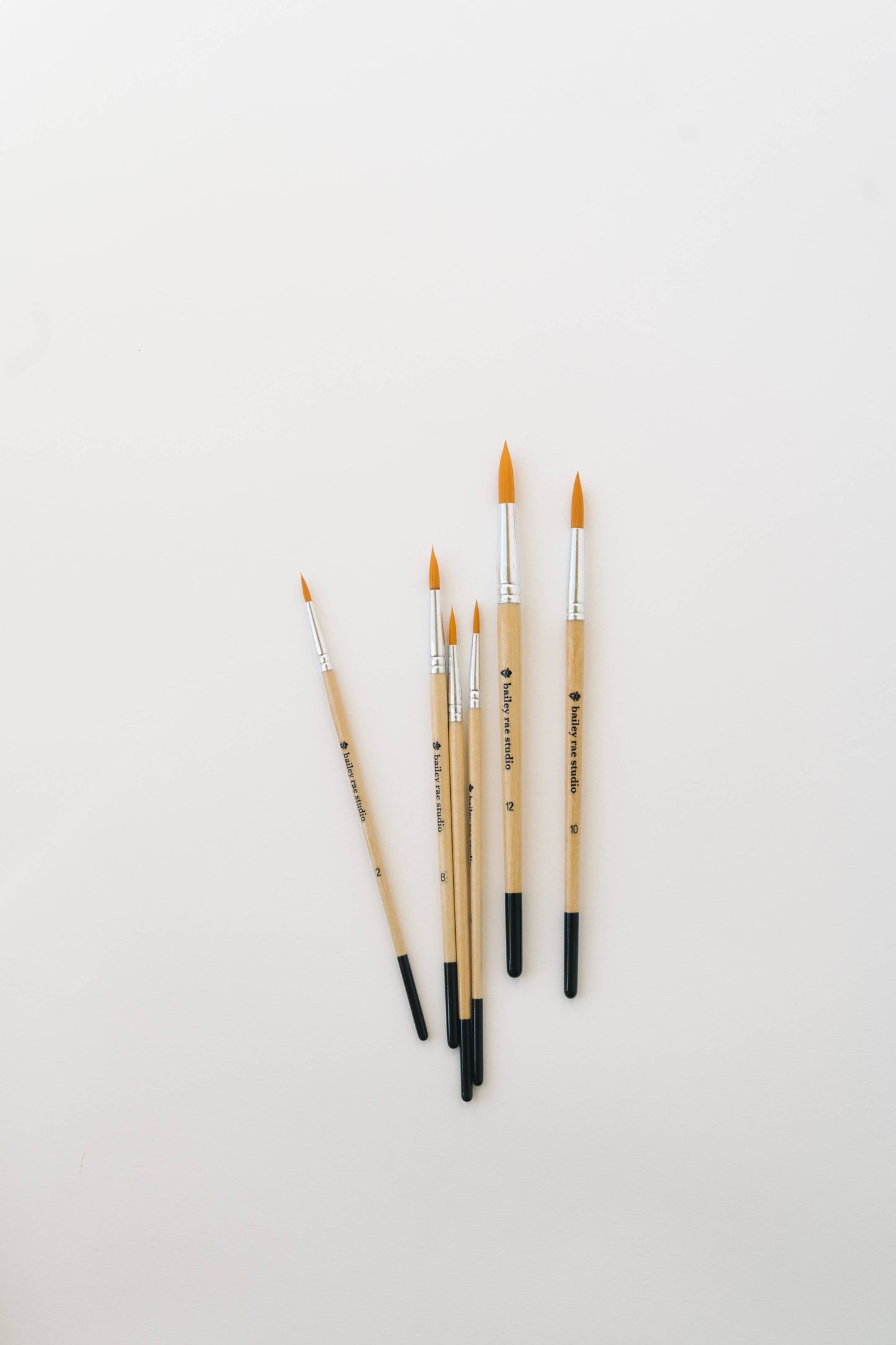 Round Tip Watercolor Brush Set (6 Brushes in Set)