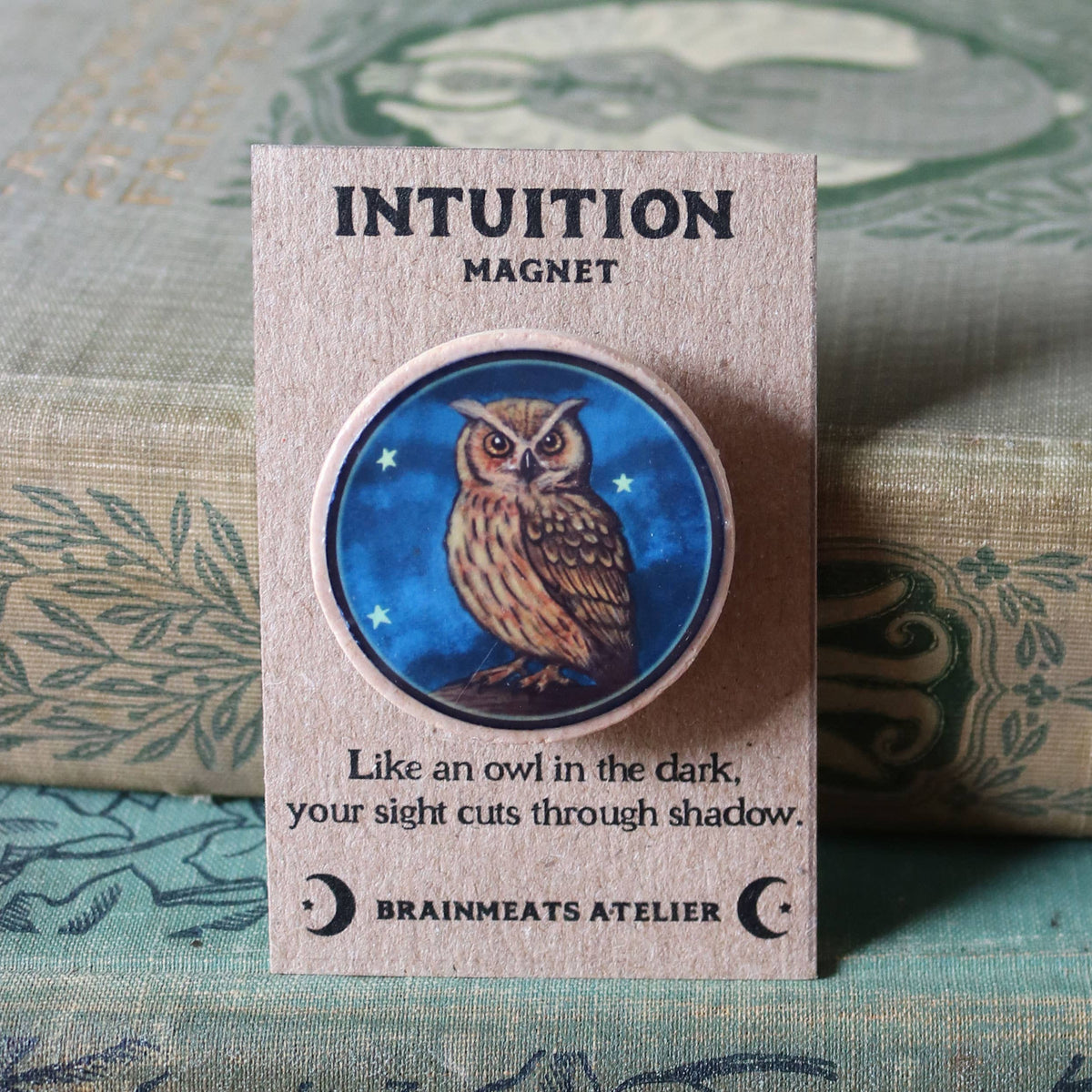 Intuition Magnet – Owl Token for Vision & Clarity
