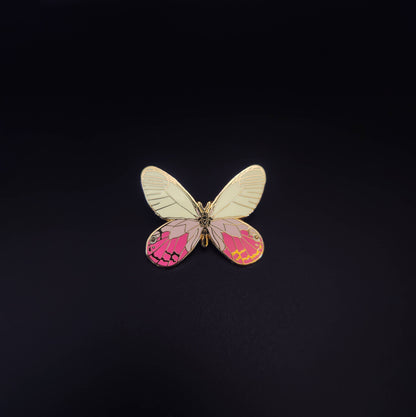 Aquarius - Zodiac Butterfly and Moth Pins- Blushing Phantom