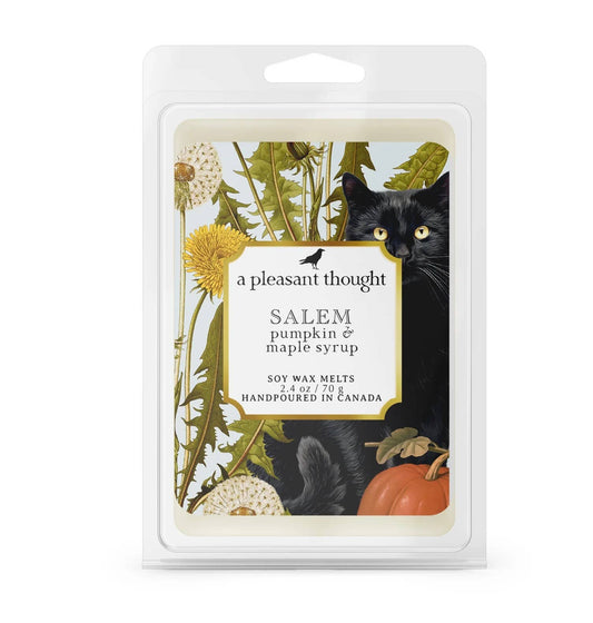 Salem | Pumpkin & Maple Syrup-Scented Wax Melt Cubes