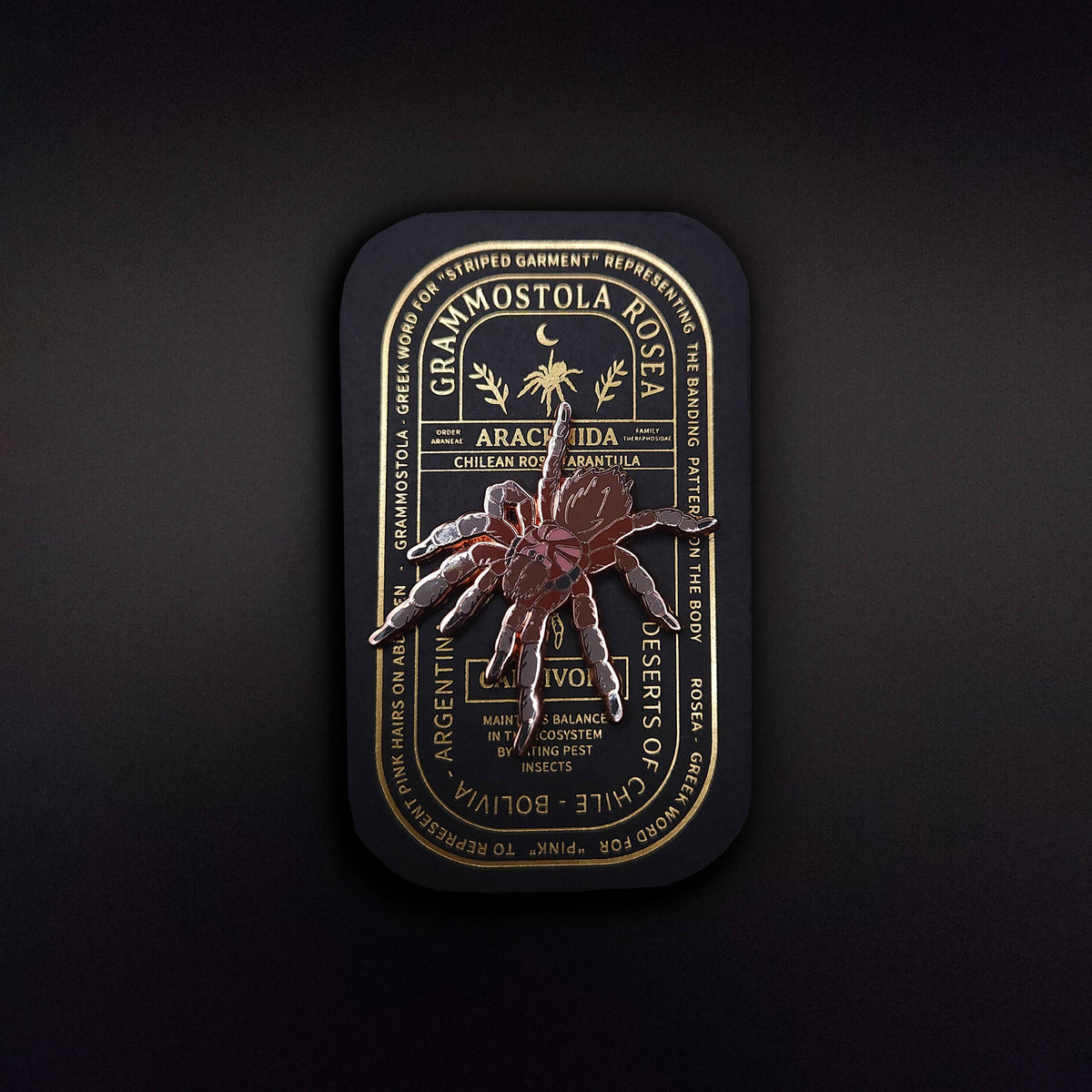 Chilean Rose Tarantula Educational Insect Enamel Pin