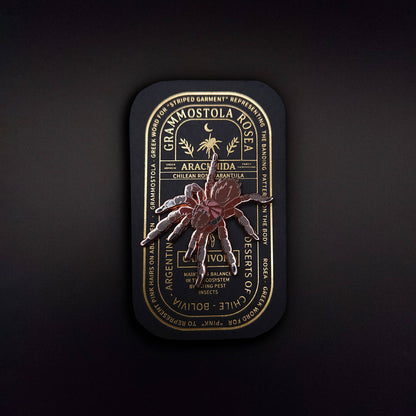Chilean Rose Tarantula Educational Insect Enamel Pin