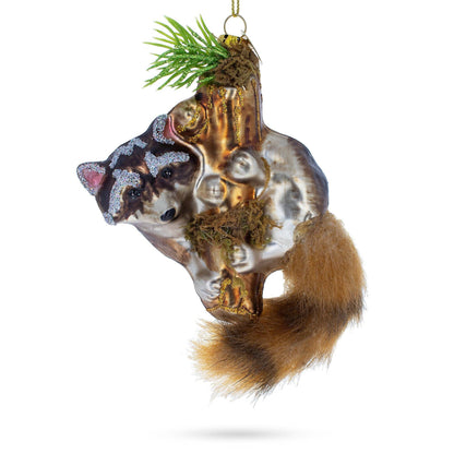 Curious Raccoon Climbing the Tree Glass Ornament