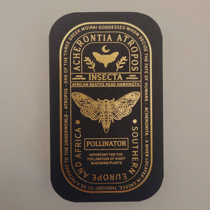 African Deaths Head Hawkmoth Educational Insect Enamel Pin