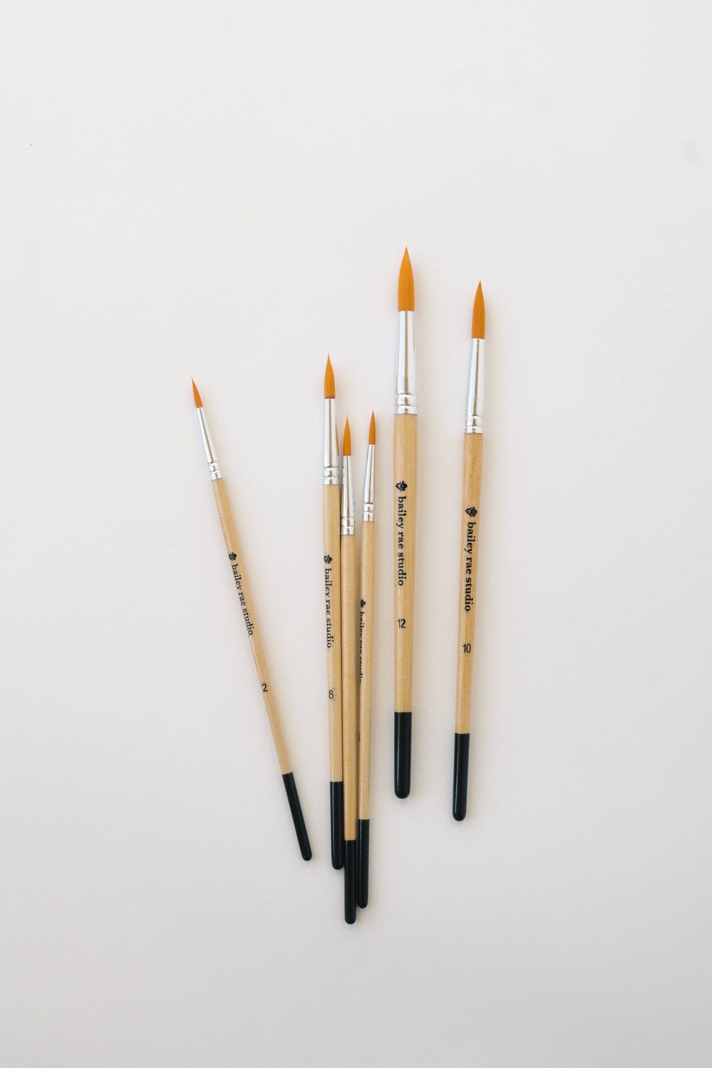Round Tip Watercolor Brush Set (6 Brushes in Set)