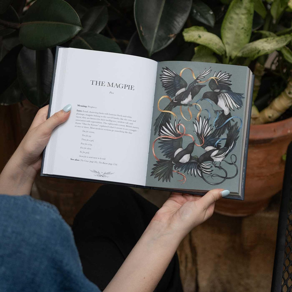 Ornithography: An Illustrated Guide to Bird Lore & Symbolism (Volume 2) (Hidden Languages)