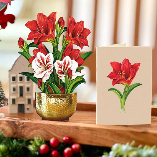 Mini Christmas Scarlet Amaryllis Pop-Up Card