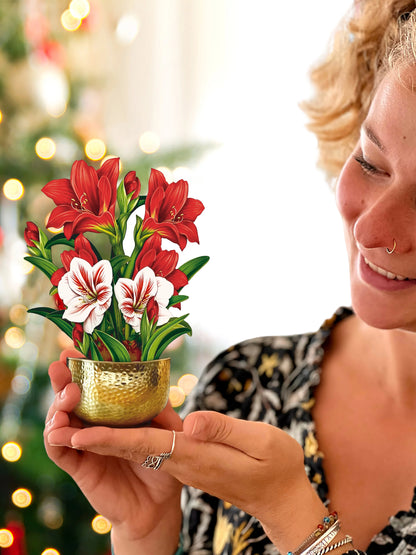 Mini Christmas Scarlet Amaryllis Pop-Up Card