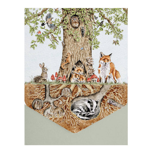 Nature Notecard Pack Wild Woodland