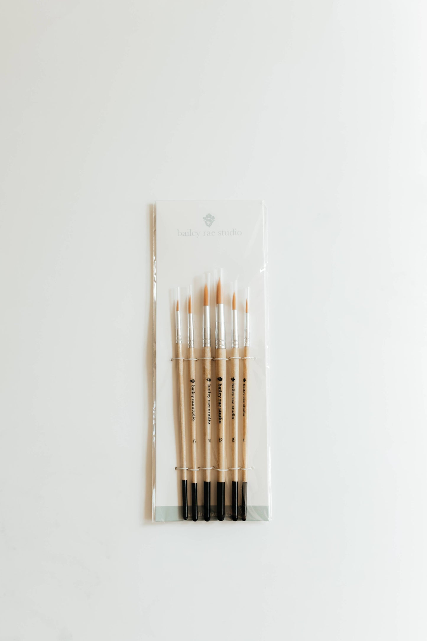 Round Tip Watercolor Brush Set (6 Brushes in Set)