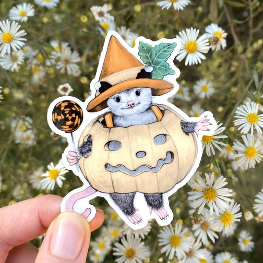 Pumpkin Buddy Opossum Halloween Weatherproof Vinyl Sticker