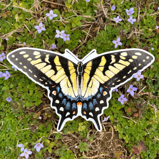 Eastern Tiger Swallowtail Butterfly Sticker