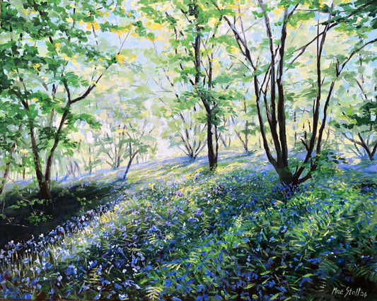 Morning with the Bluebells (Original)