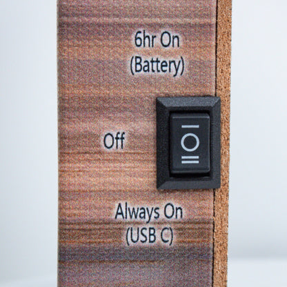 Forest Friends 8x6 Lighted Tabletop Canvas