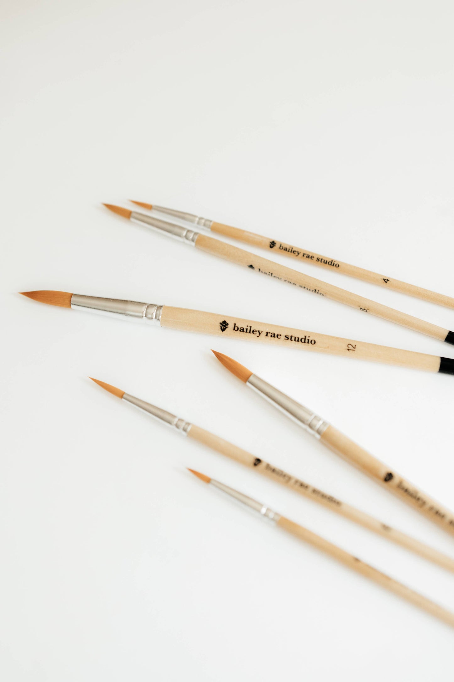 Round Tip Watercolor Brush Set (6 Brushes in Set)
