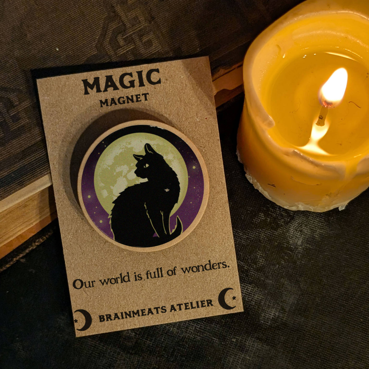 Magic Magnet - Black Cat Against the Moon