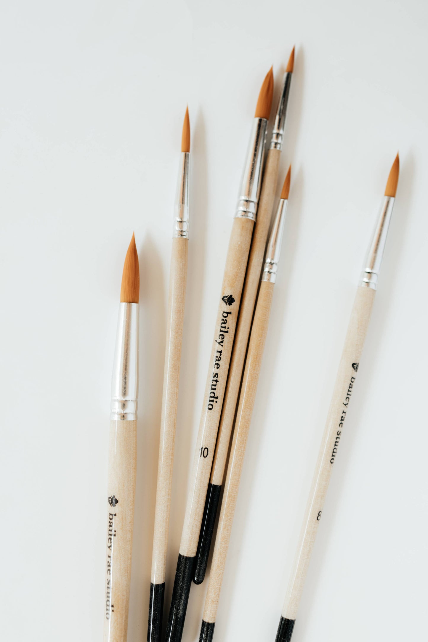 Round Tip Watercolor Brush Set (6 Brushes in Set)