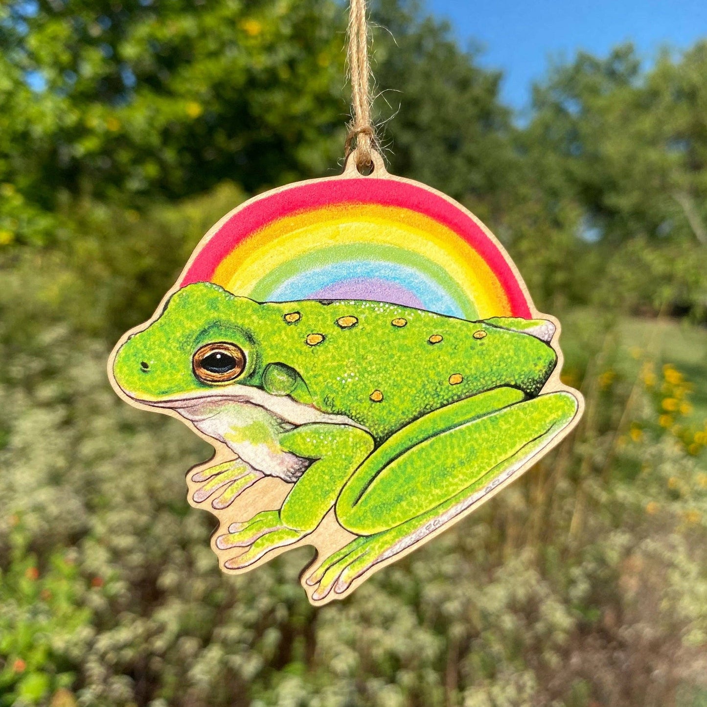 Rainbow American Green Treefrog Wood Print Pride Ornament