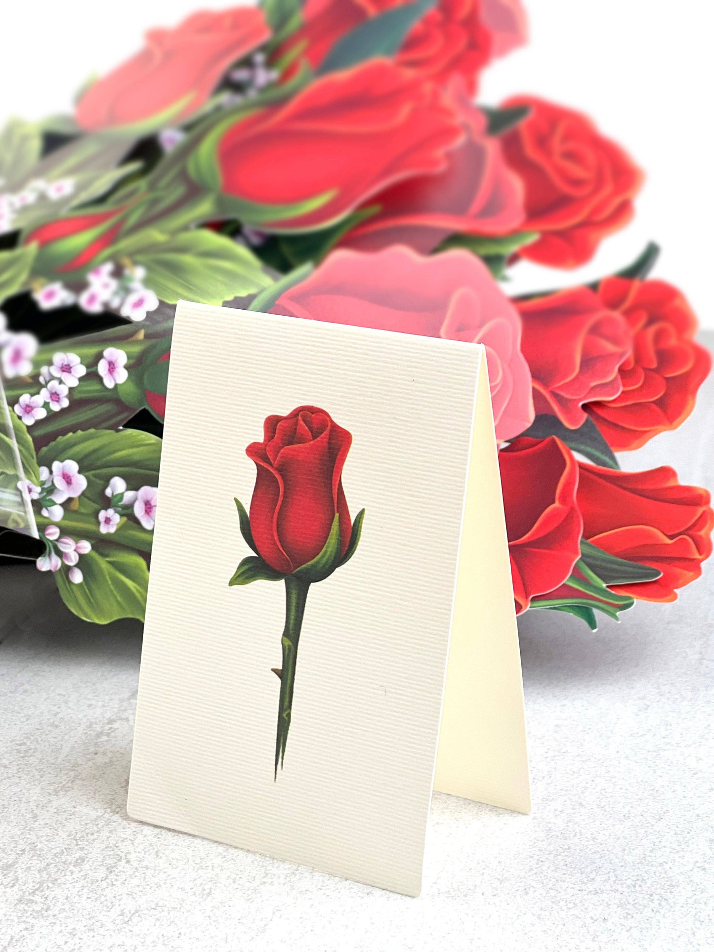 Red Roses Pop-Up Greeting Card