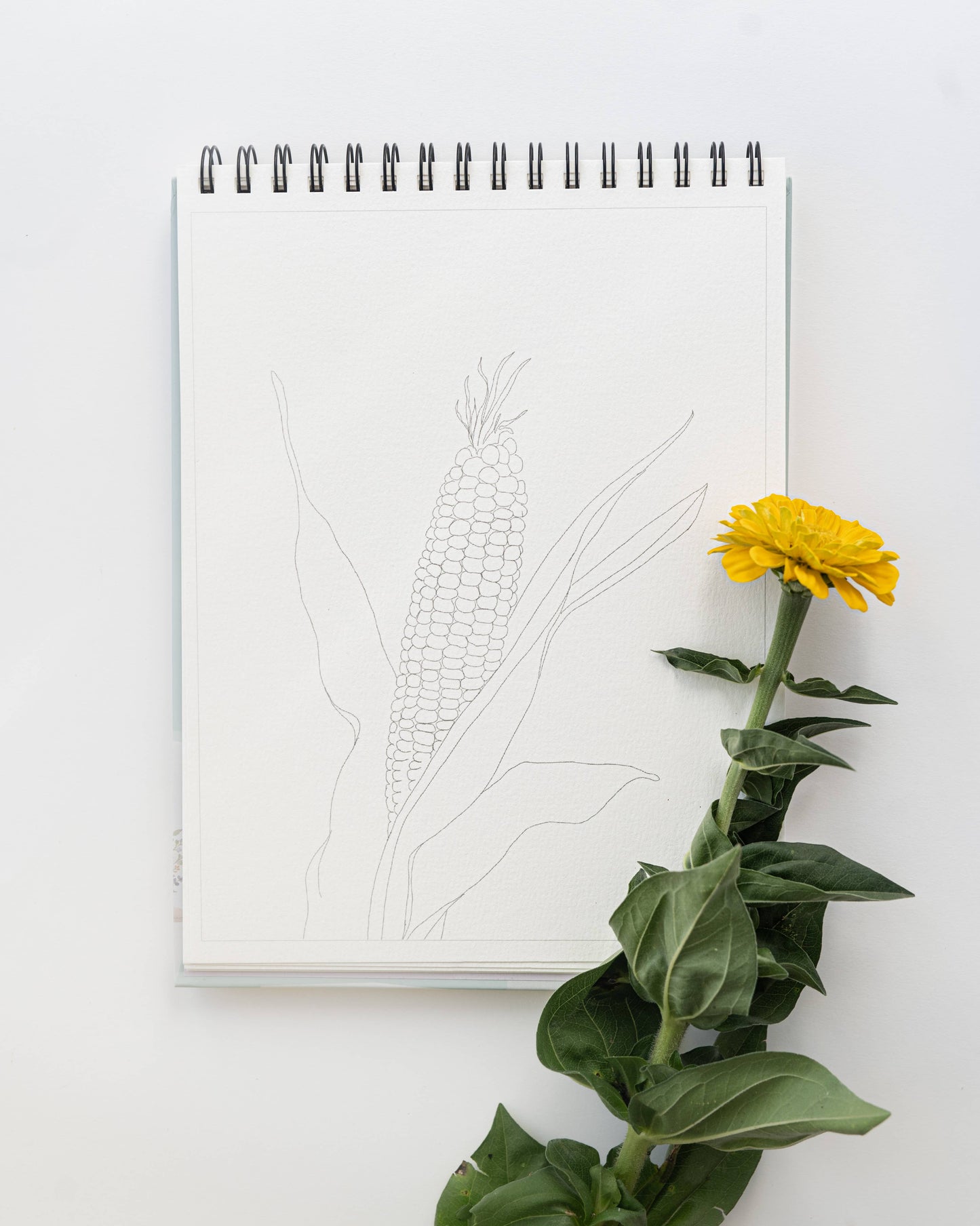 Country Life Watercoloring Book