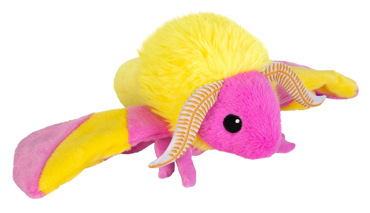 Ck-Eco Rosy Maple Moth