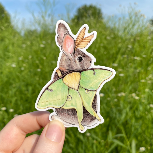 Pegatina resistente a la intemperie de conejo de cola de algodón del este (Luna Moth)