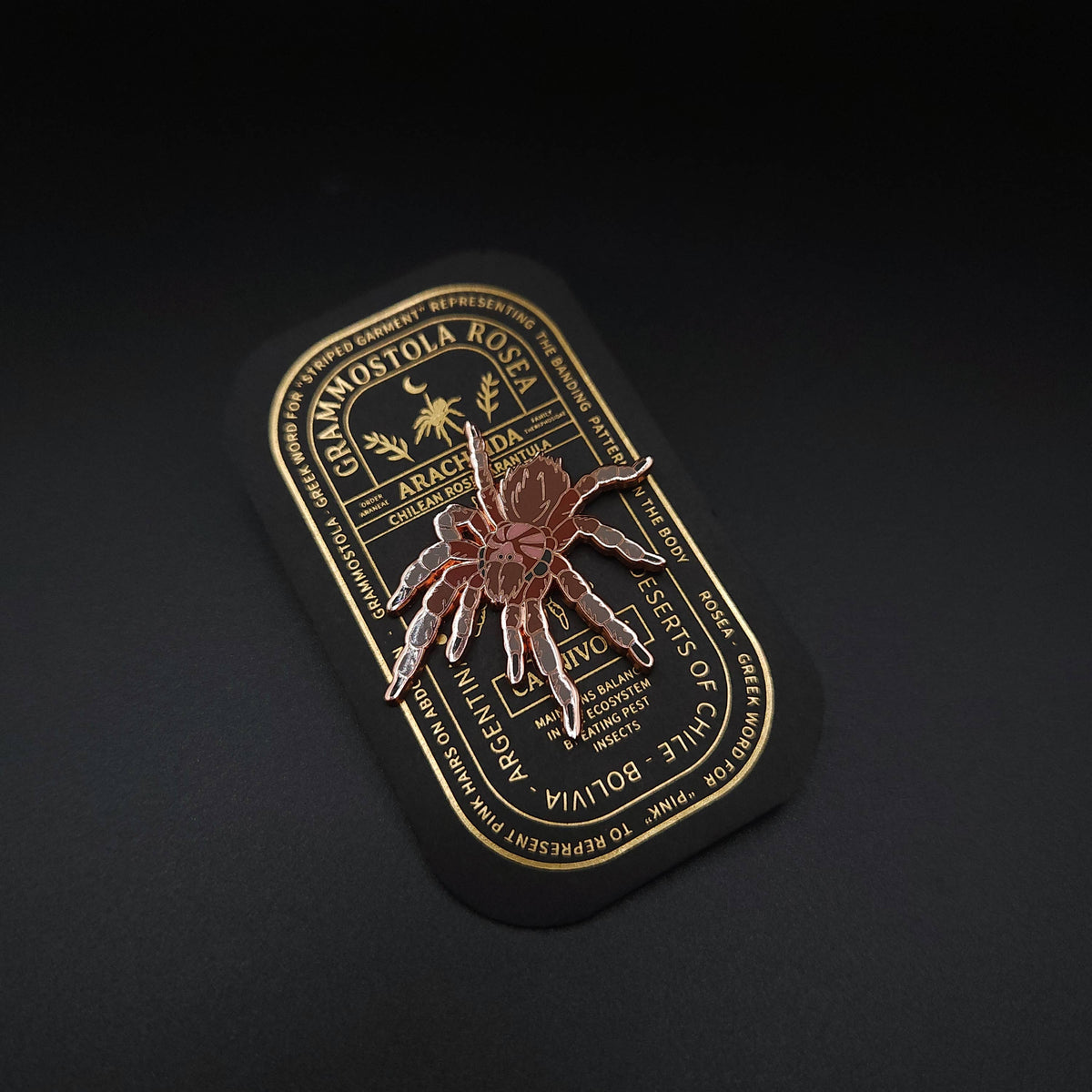 Chilean Rose Tarantula Educational Insect Enamel Pin