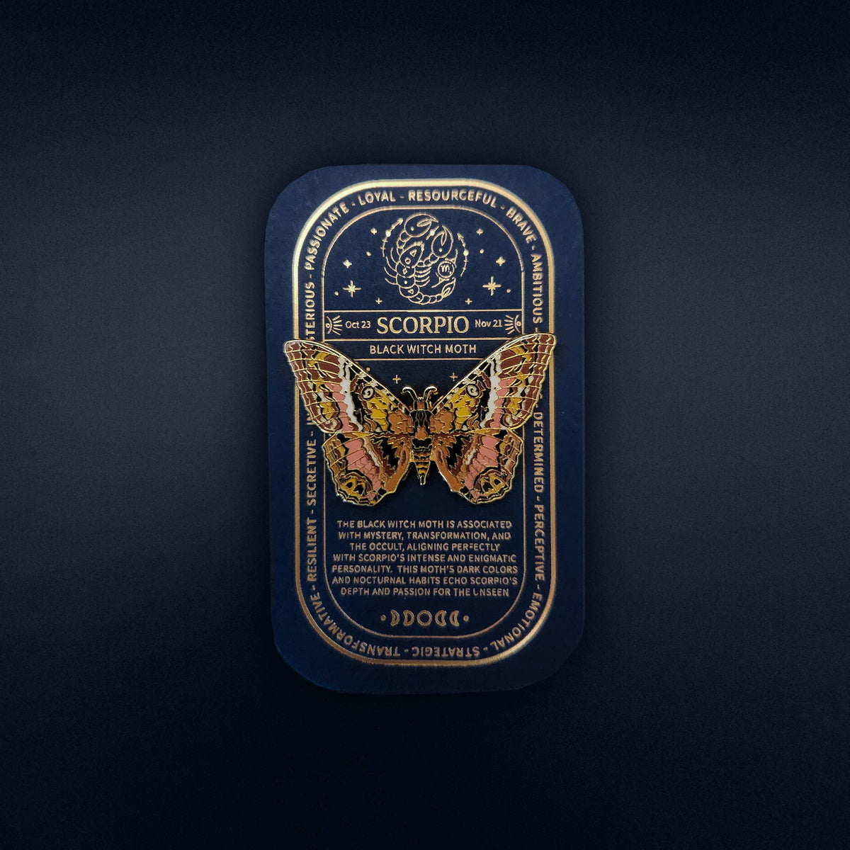 Scorpio - Zodiac Butterfly and Moth Collection - Black Witch
