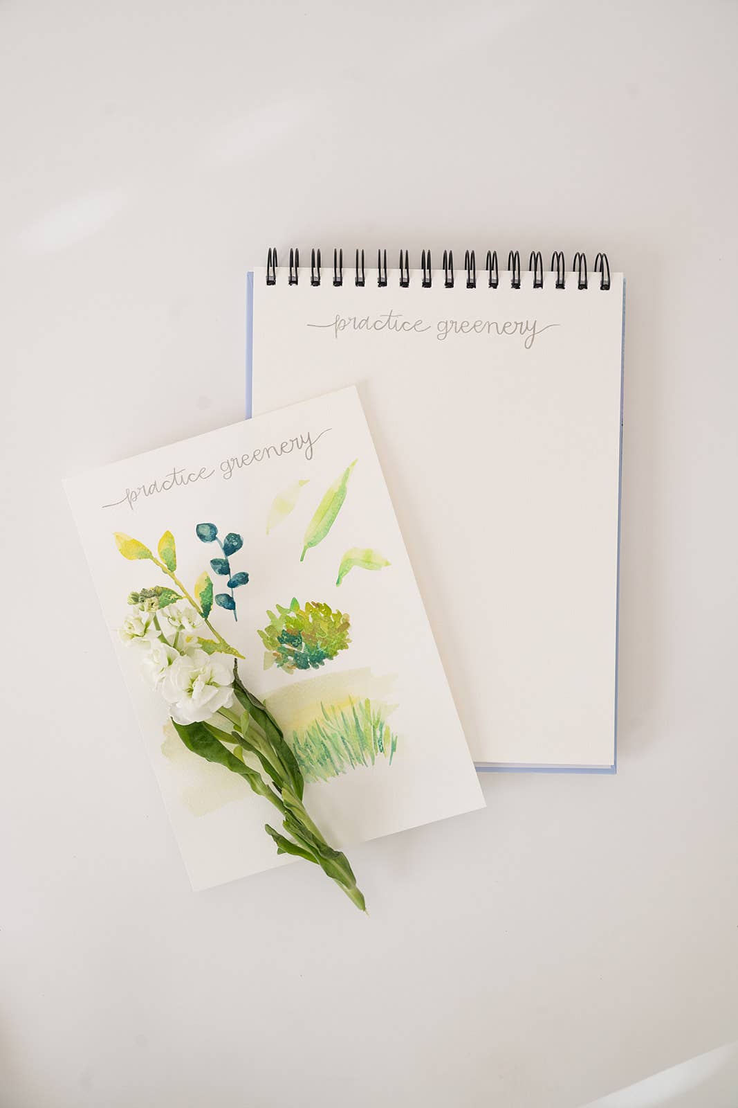 Landscape Watercoloring Book (Outlines with Video Tutorials)
