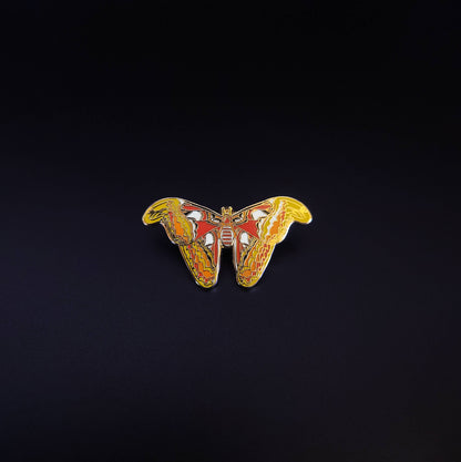 Capricorn - Zodiac Butterfly and Moth Pins- Atlas Moth