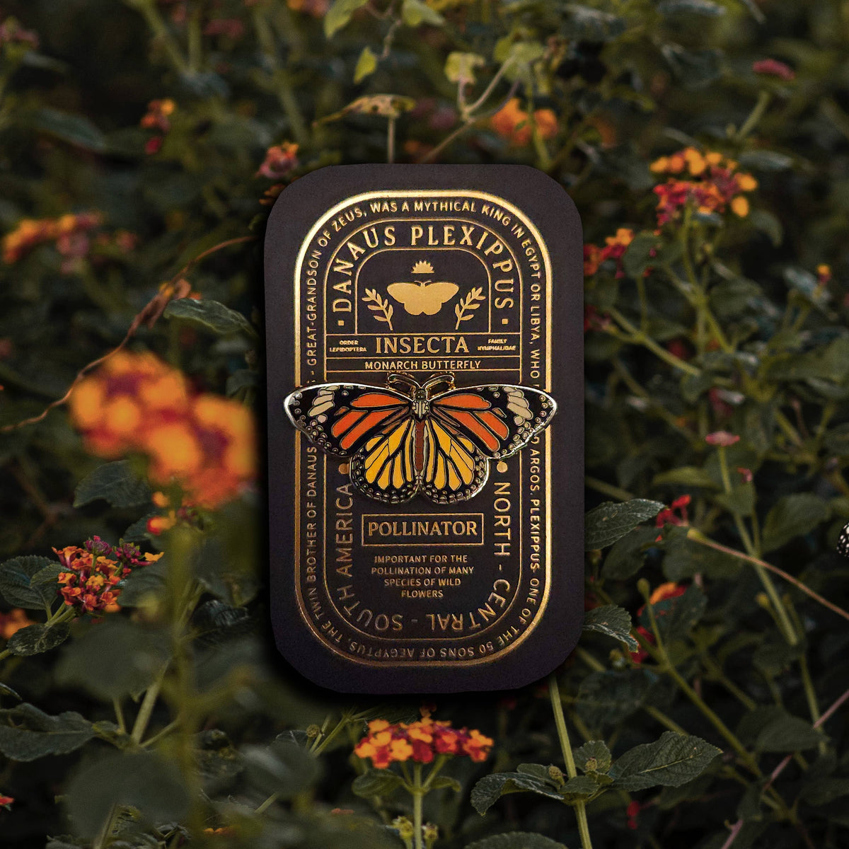 Monarch Butterfly Educational Insect Enamel Pin